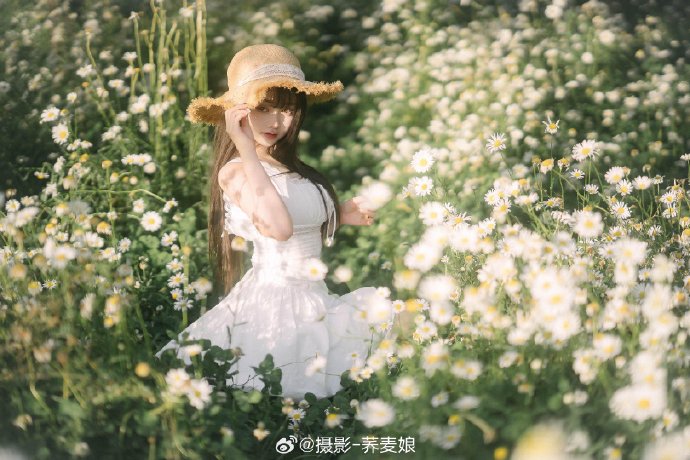威尔·法瑞尔新作Netflix夺冠，专业影评人评分却褒贬不一